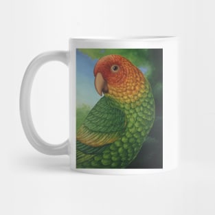 Carolina Parakeet (Conuropsis carolinensis) Mug